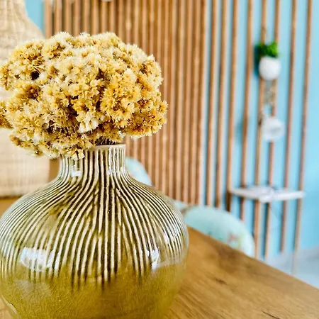 Διαμέρισμα T2 « boheme » Avec Spa… Calenzana