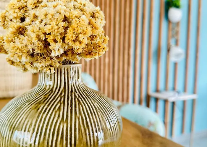 Apartmán T2 « boheme » Avec Spa… Calenzana